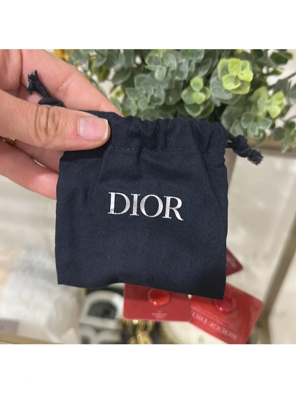 Dior Pouch and Dior Rouge Mini Lip Swatches